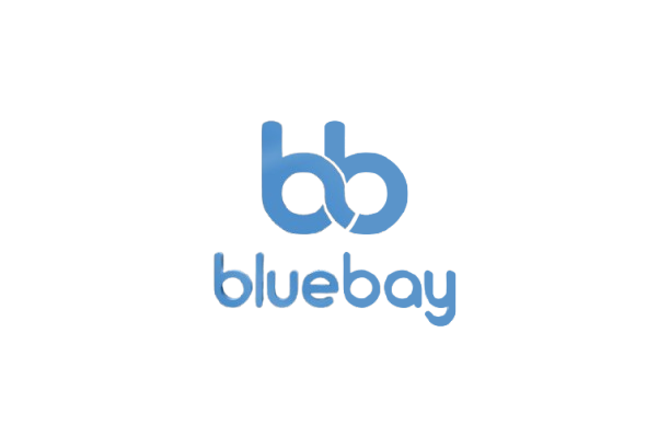 Bluebay Limousine
